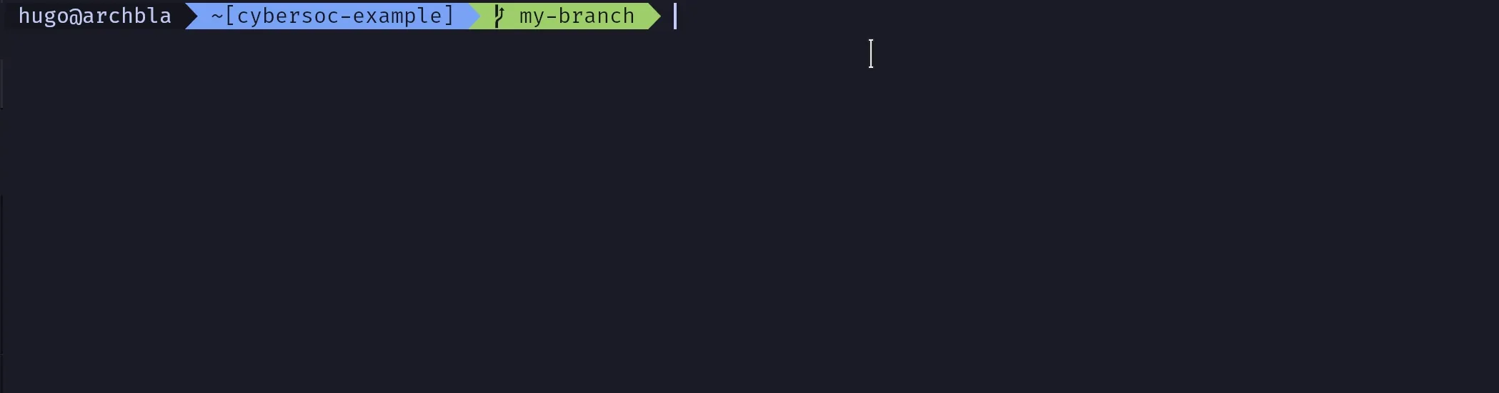 gif showing the process of pushing the new branch to the remote repo